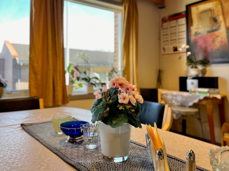 Bildet viser en plante på bordet i den koselige stuen.
