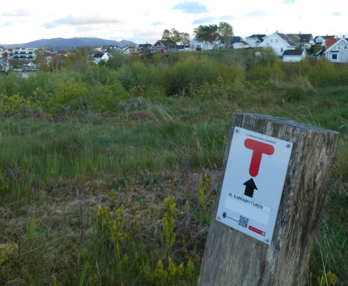 T-merket stolpe i ei eng, med bolighus i bakgrunnen