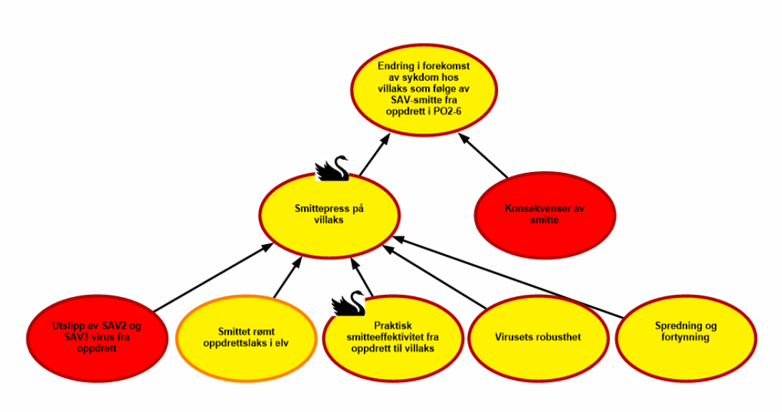 Flytdiagram som vise risiko knyttet til pankreassykdom forårsaket av Salmonid alfavirus (SAV)