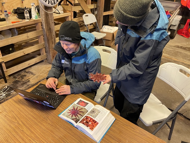 En mann som holder en sjøstjerne og en mann som skriver ned arten på datamaskinen.