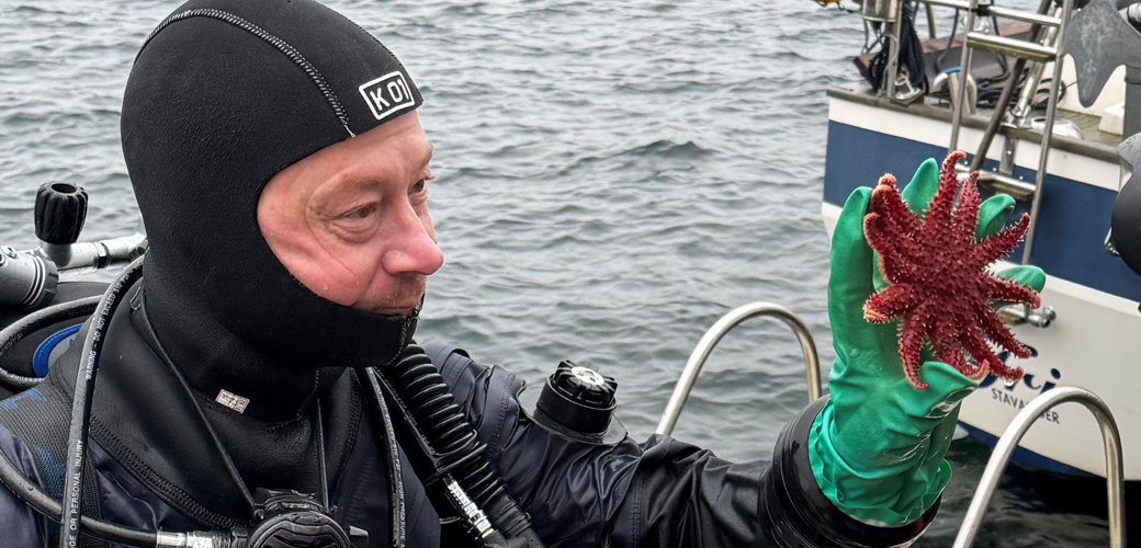 En dykker som holder en rød sjøstjerne på bryggen i Stavanger