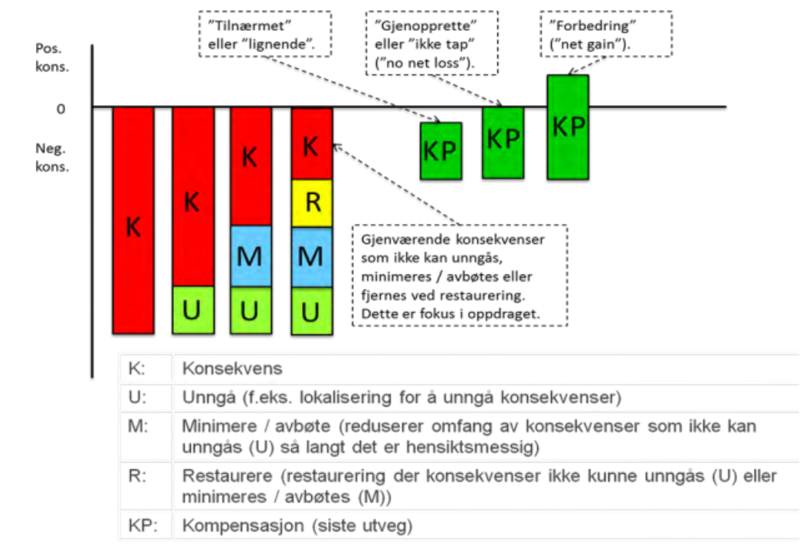Illustrasjon av hierarkiet