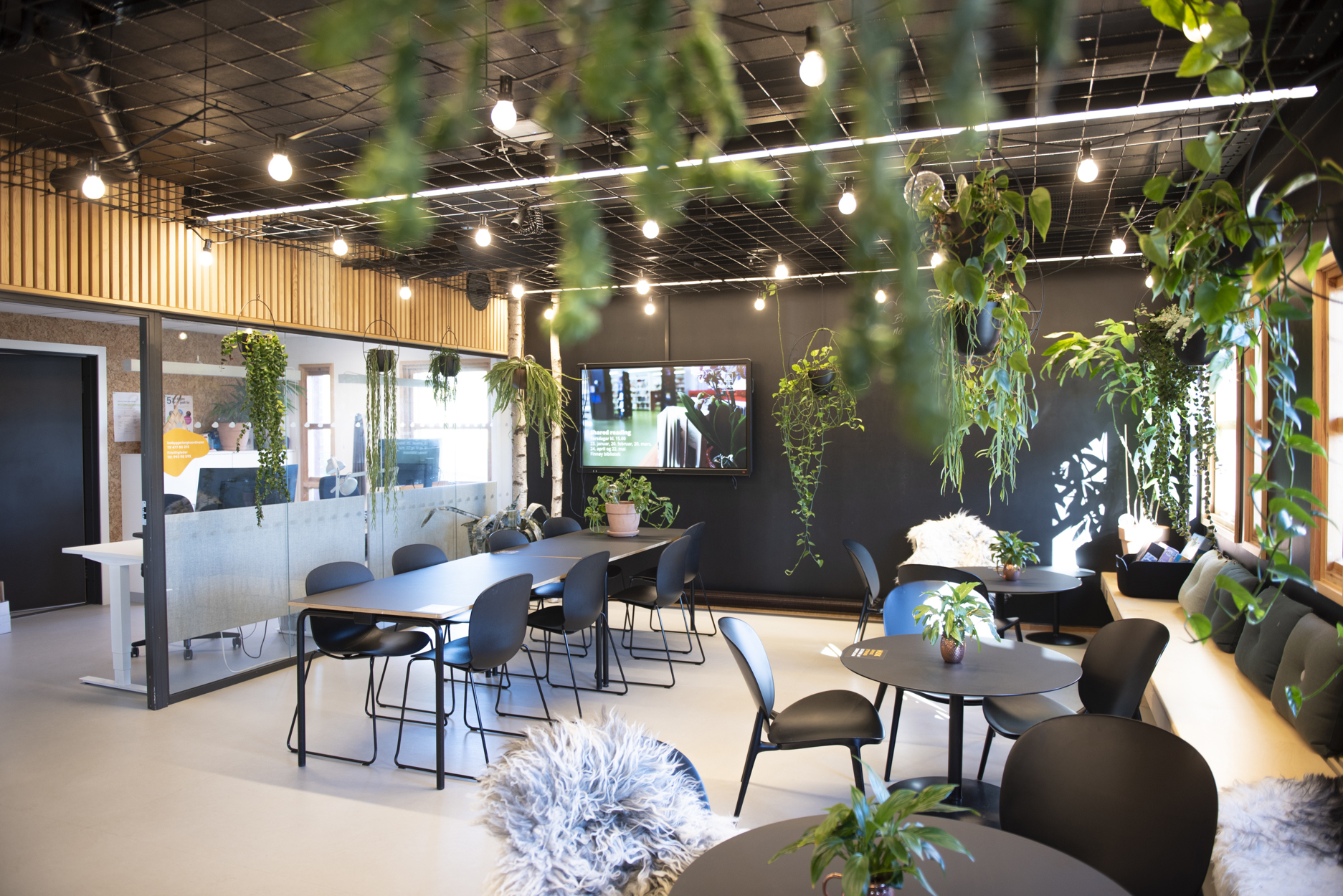 Fellesområde med bord, stoler, sittebenk langs vindu og grønne planter.