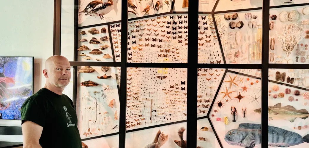 Rudolf Svensen ved Museum Stavanger er primus motor bak innsamlingen av 900 arter. Mann står foran insektsamling