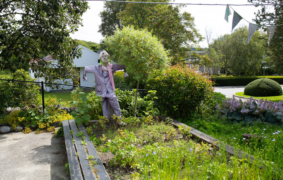 Grønsakshage med fugleskremsel