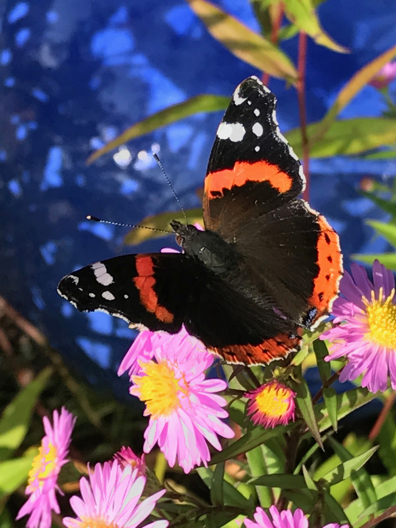 Krabat barnehage Krabat barnehage