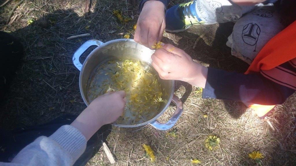 Mjughaugskogen barnehage skogslek Mjughaugskogen barnehage, skogslek, jpg