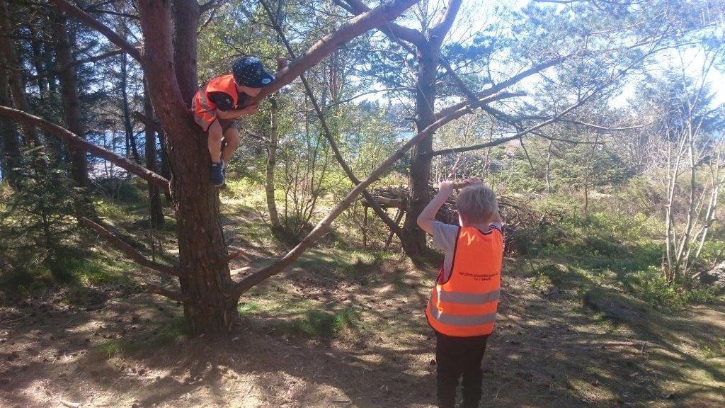 Mjughaugskogen barnehage treklatring Mjughaugskogen barnehage, treklatring, jpg