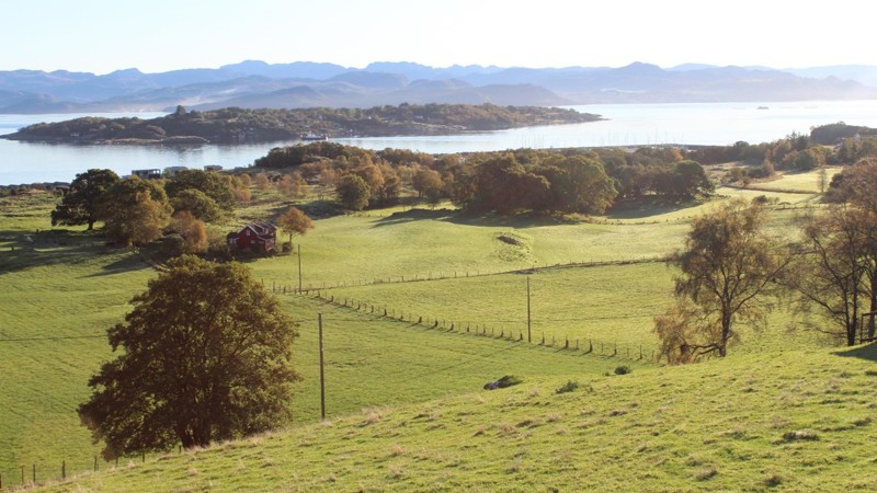 Grønne marker, piggsteinsgjerder, gamle trær, nye hytter, småbåthavn, ferge, fjord og fjell.