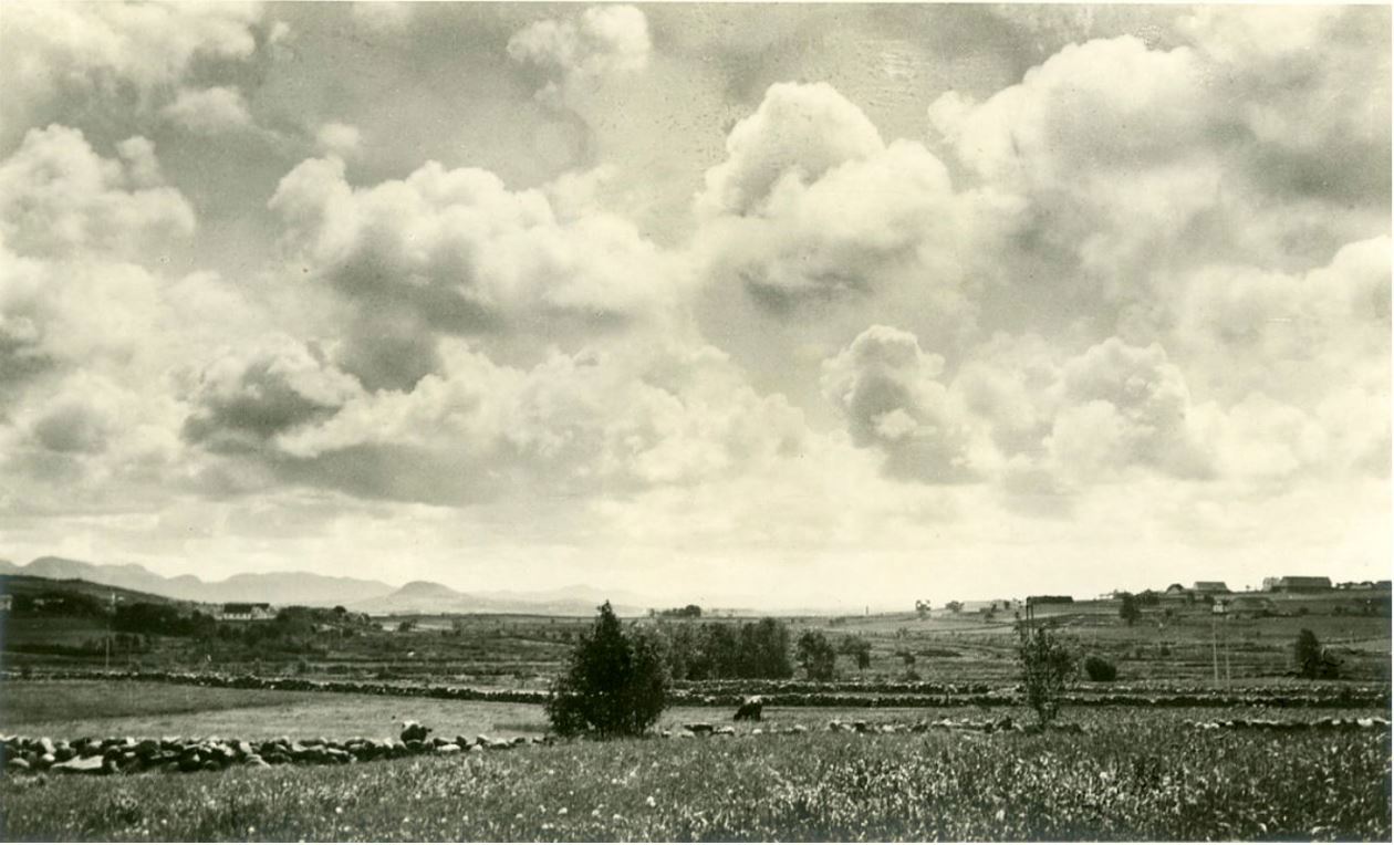 "En sommerdag på Malde". Landskap på Madla ca. 1910-1930. Foto: Byarkivets fotosamling, Stavanger Byarkiv Landskapsbilde av jordbruksmarker mellom lange rette steingarder, med gårdsbebyggelse, et par kyr og høye skyer. Fjell i bakgrunnen.