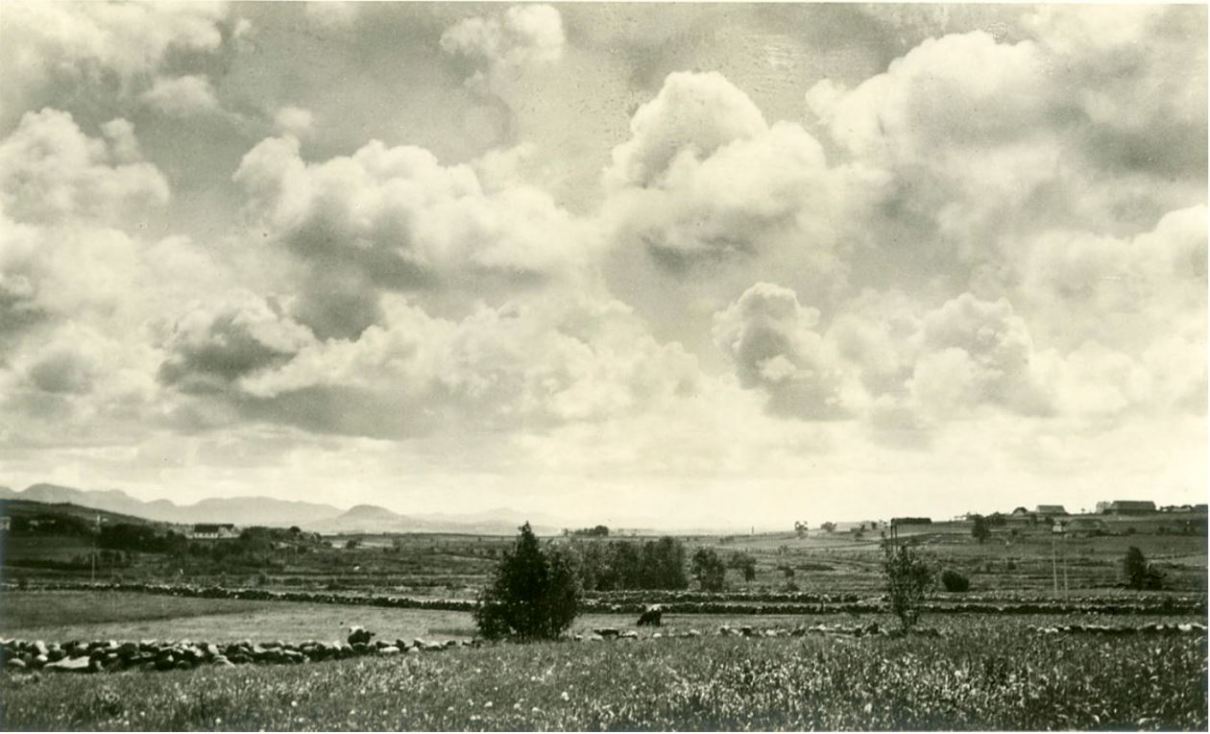 Landskapsbilde av jordbruksmarker mellom lange rette steingarder, med gårdsbebyggelse, et par kyr og høye skyer. Fjell i bakgrunnen.