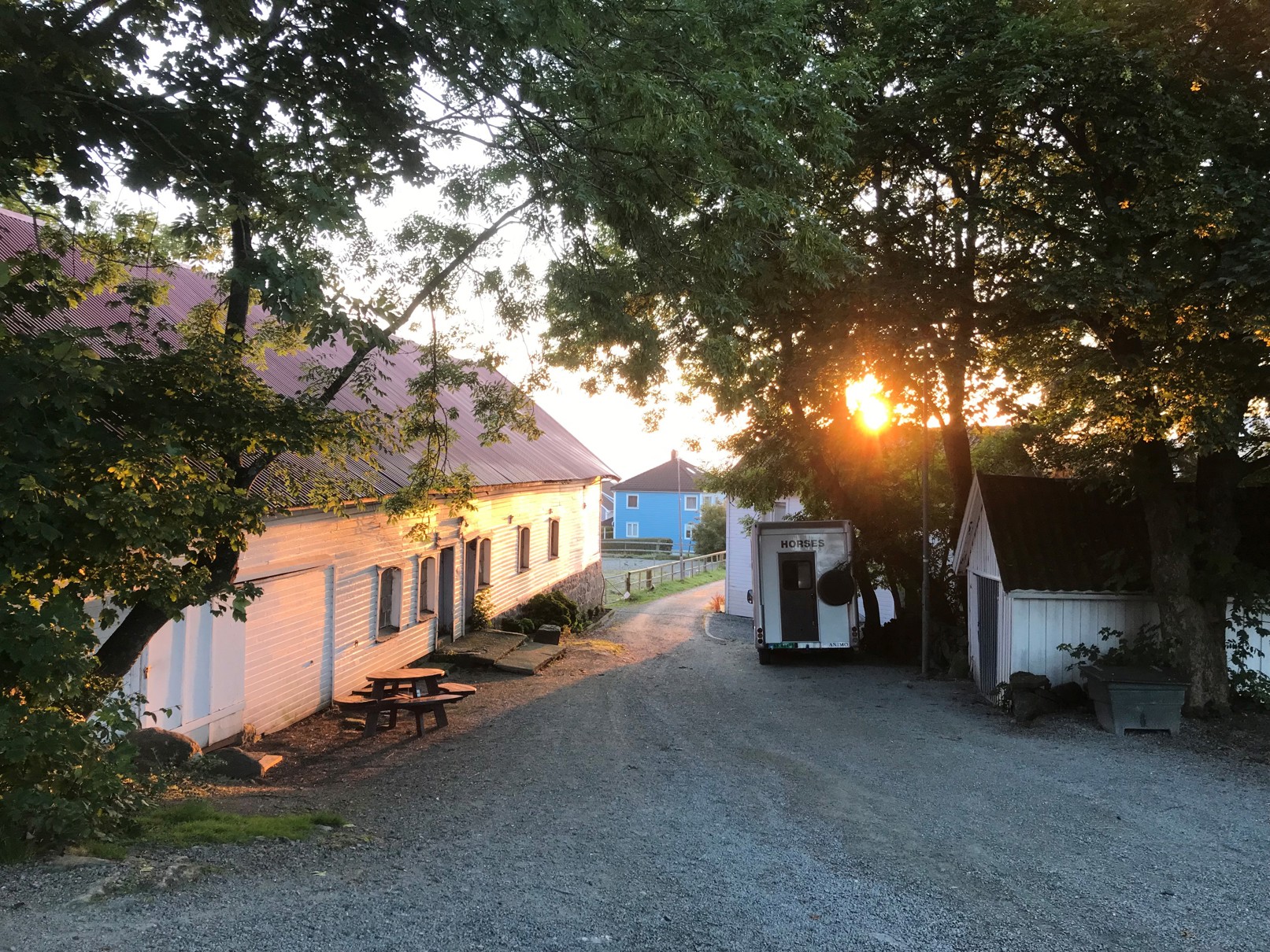 Tunet i Vårlibakken en tidlig seinsommermorgen. Et bilde av en stall og et våningshus i en bakke. Soloppgangen farger bildet rødlig. Det står en hestetransporthenger i tunet.