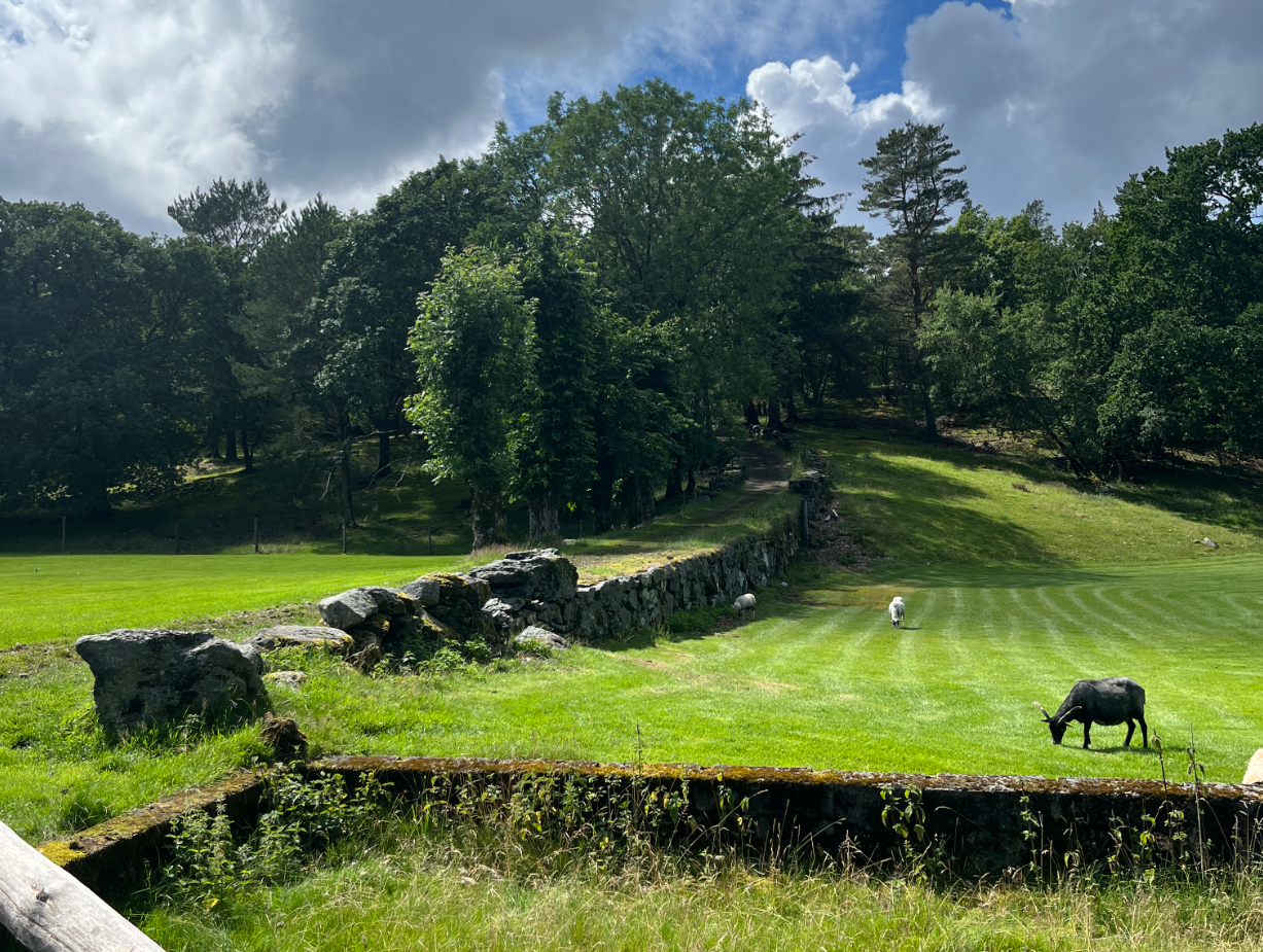 Grusvei oppå tørrmurt fundament av natursteinsblokker, mellom beitemarker. Veien svinger inn i skogen oppå et høydedrag. I forgrunnen ses grunnmuren etter et bygg som er borte, og det er sau på beitet til høyre for veien.