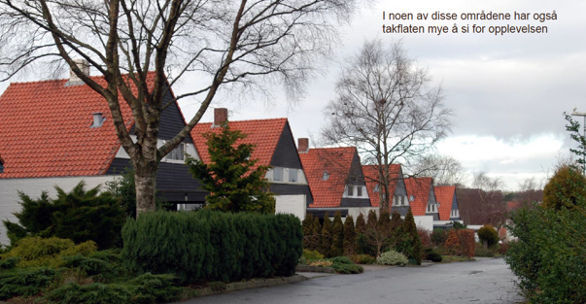 Stokkabrautene. Hus der taket er en viktig del av inntrykket.