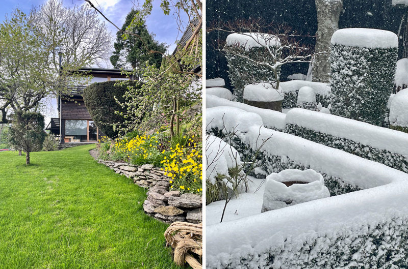 Ett sommerbilde fra hagen med huset i bakgrunnen, og et vinterbilde av hagen dekket med snø. 