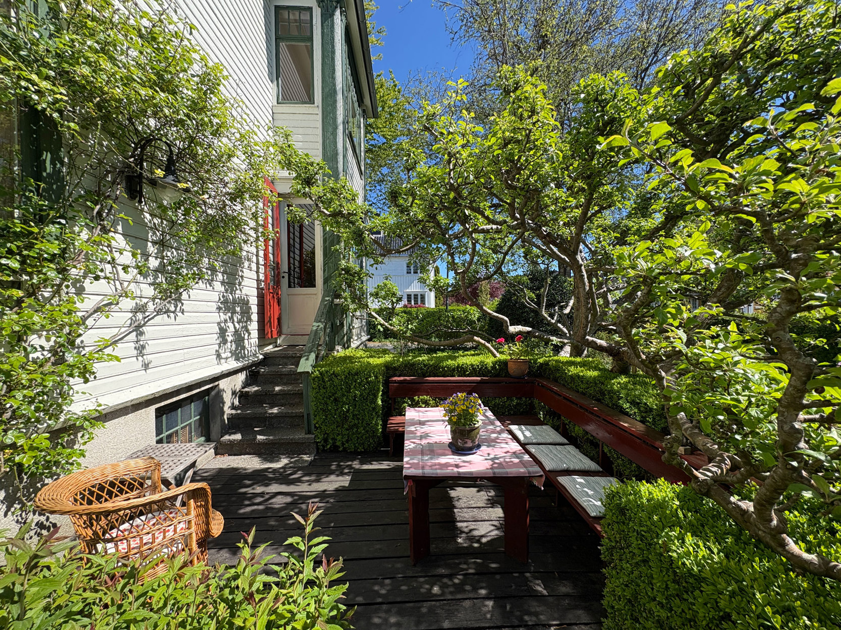 Koselig epletre innunder et epletre