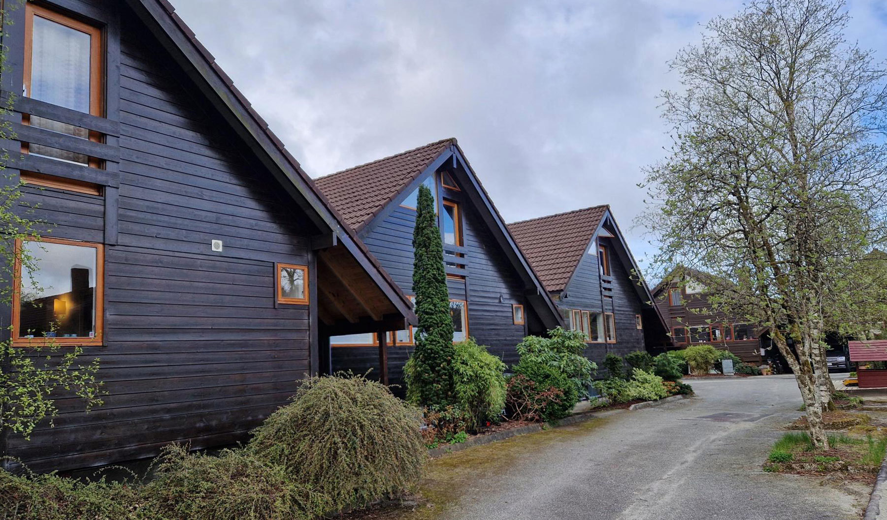 Brune kjedehus med kraftig saltak, mye grønt mellom husene
