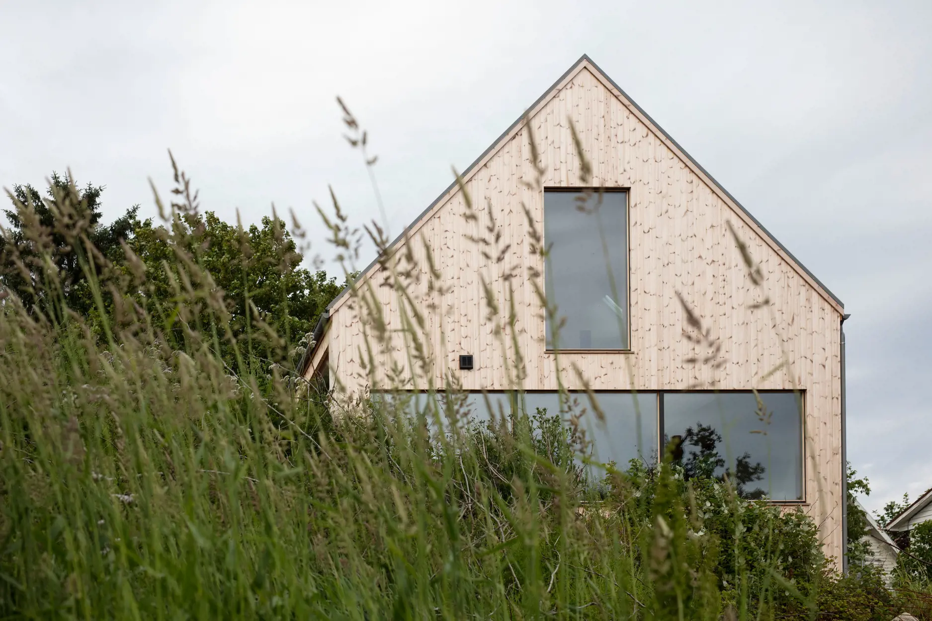 Høye gresstrå i forgrunnen, huset i bakgrunnen.