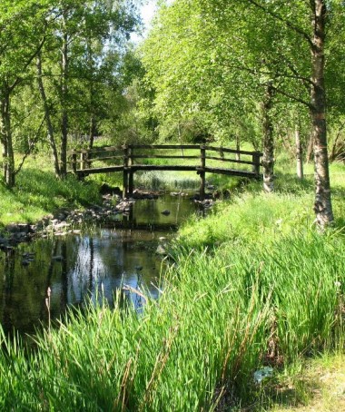 Missisippi rensepark Bilde av rensepark ved Missisippidammen