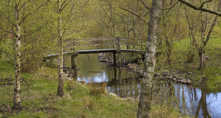 Bilde fra Missisippi renseapark