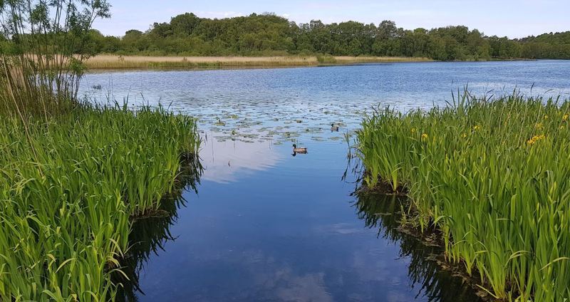 Bilde fra Lille Stokkavatnet