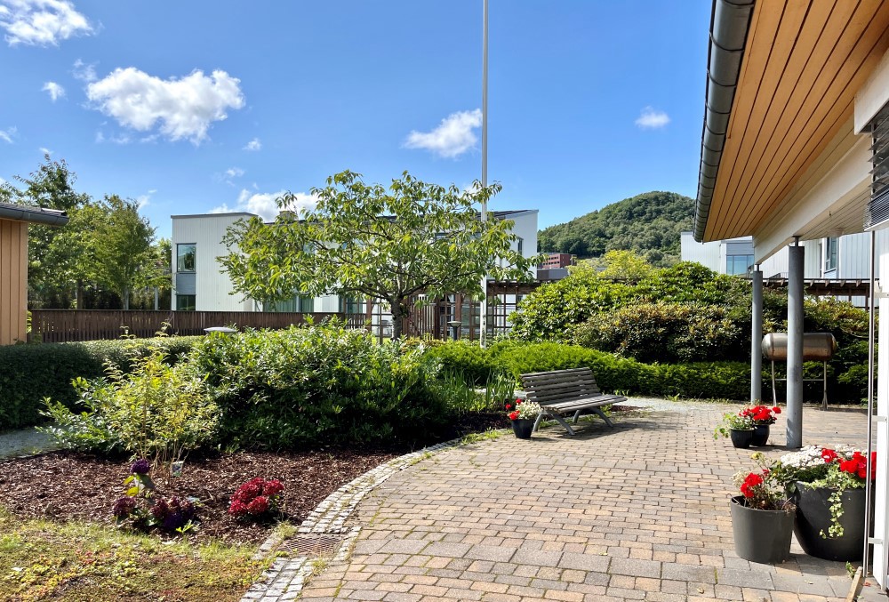 Bildet viser sansehagen på sykehjemmet, men grønne vekster. Det står en sittebenk ved siden av blomsterkrukker.