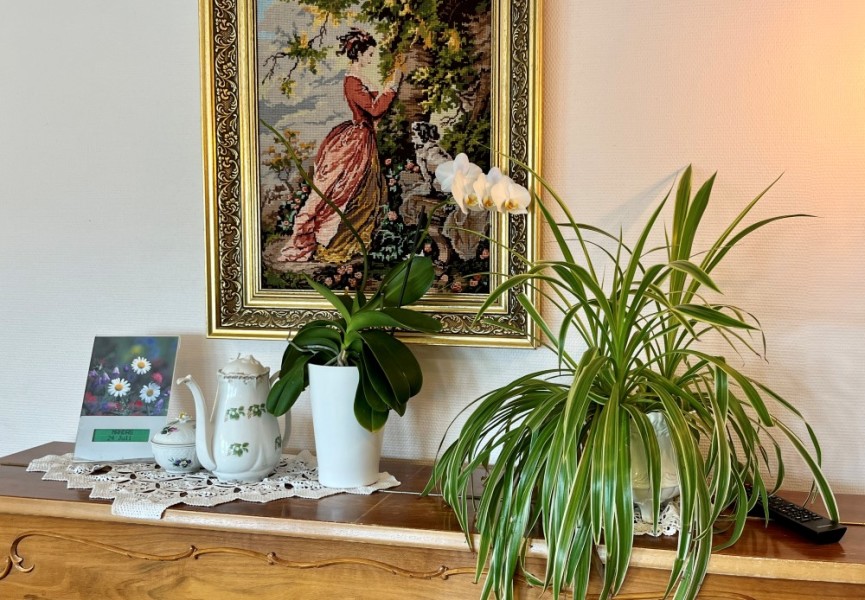 Bildet viser deler av et piano, med en grønn plante og bildet på veggen.