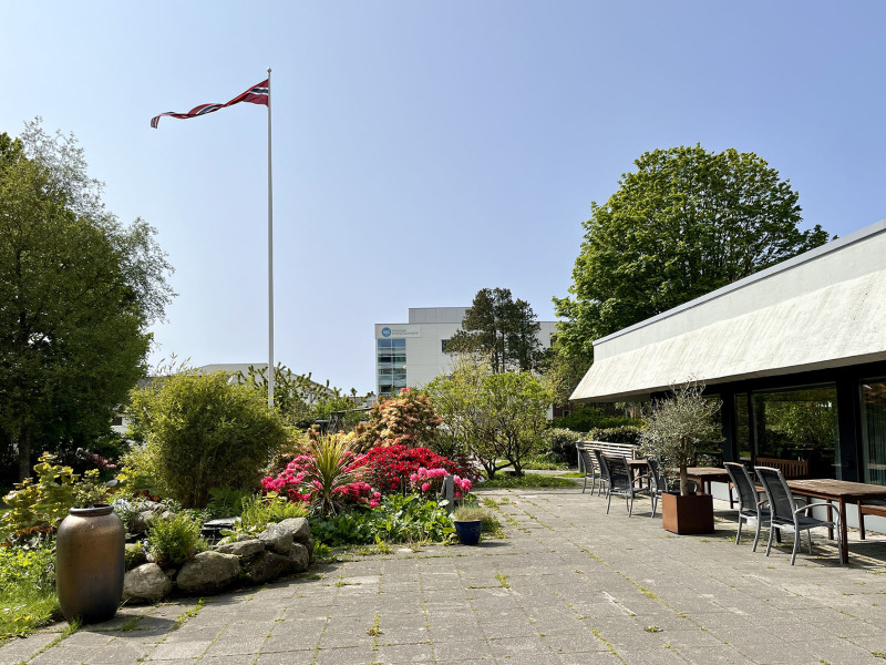 Bildet viser den store uteplassen ved siden av hovedstuen, med blomstrende busker og mange bord til å sitte ute på.