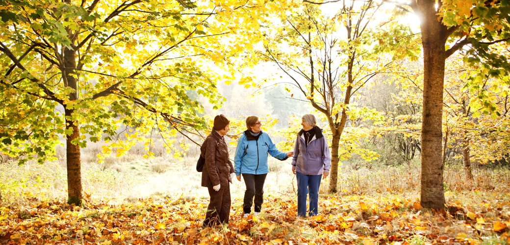 Det er mulig å beholde god livskvalitet og frihet når man blir eldre. Tre eldre mennesker i en skog med høstfarger