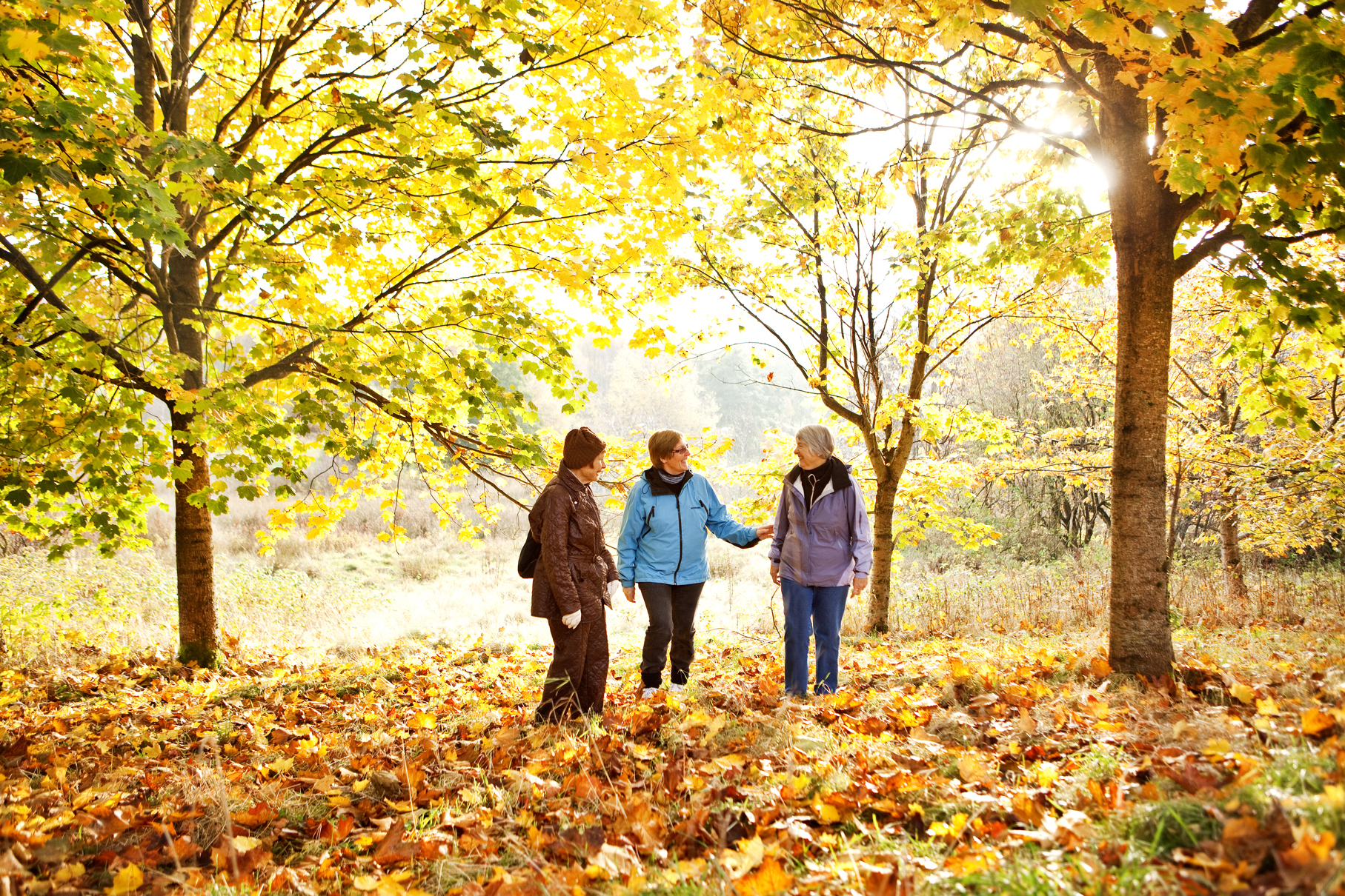 Det er mulig å beholde god livskvalitet og frihet når man blir eldre. Tre eldre mennesker i en skog med høstfarger