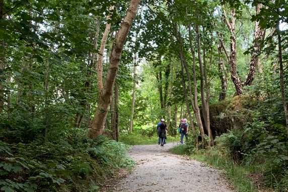 Tre personer som går på en turvei med grønne trær rundt.