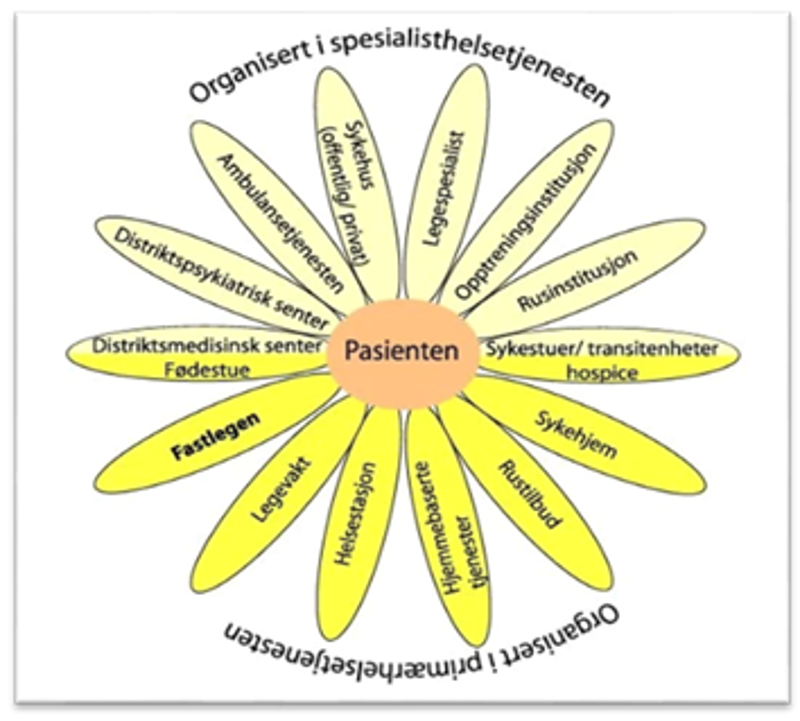 allmennlege struktur