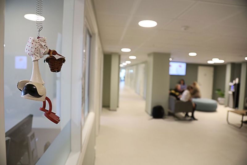 Bildet viser en lekeand som henger i forgrunnen av helsestasjonen.