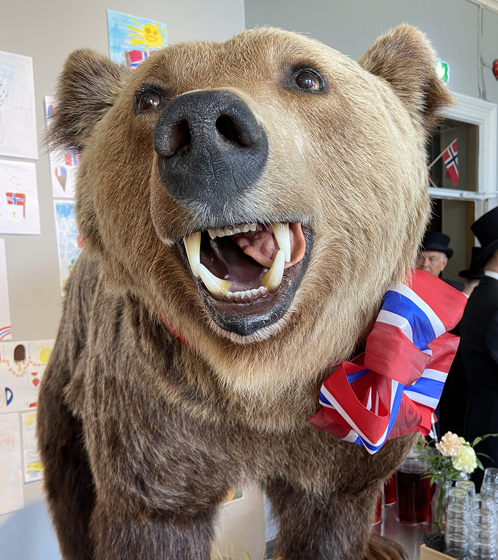 Bjørnen Lasse på Stavanger museum er også pyntet til 17. mai. Han passer på alle tegningene i utstillingen