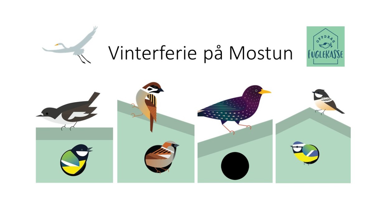 Illustrasjon av fugler og fuglekasser.