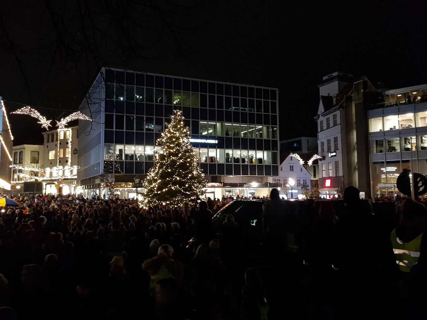 Foto: Thomas Bore Olsen Julegran i Stavanger 2018. Foto: Thomas Bore Olsen