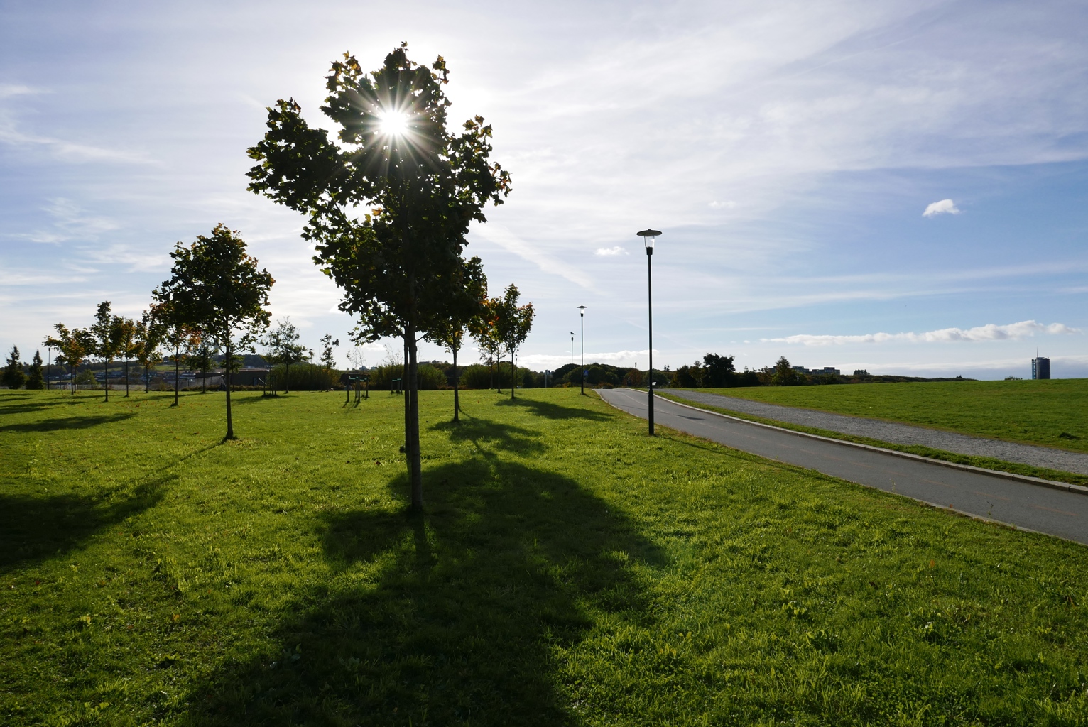 Kulverten mellom Mosvannsparken og Vålandskogen. Parkområde på kulverten mellom Mosvannsparken og Vålandskogen.