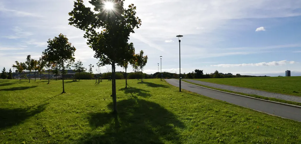 Kulverten mellom Mosvannsparken og Vålandskogen.  Parkområde på kulverten mellom Mosvannsparken og Vålandskogen.