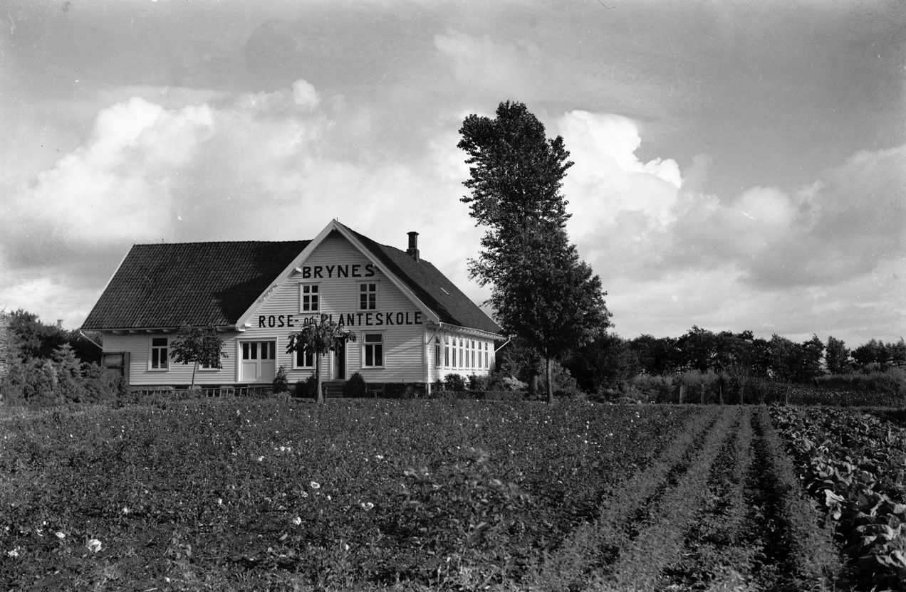 Bryne planteskole i sort hvitt.