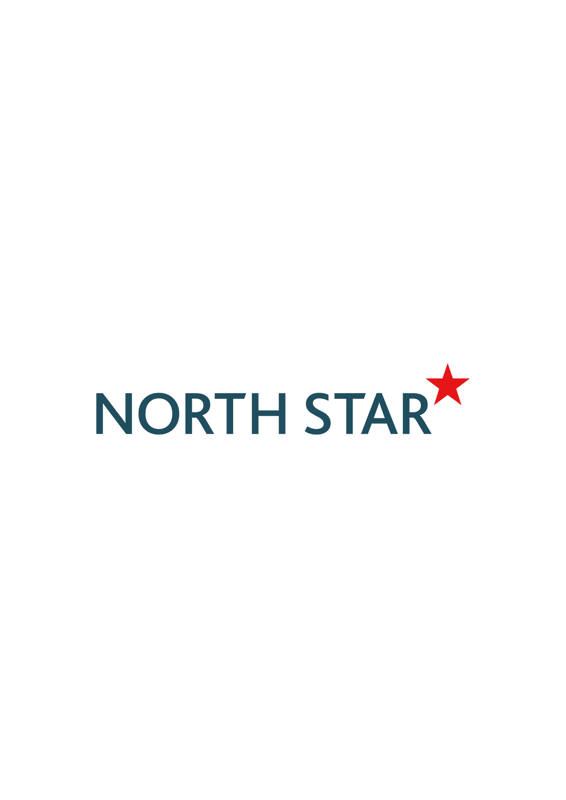 north star logo