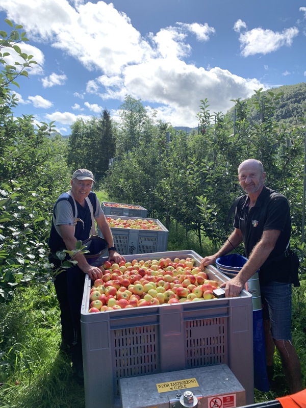to menn sammen med mange epler på eplegården. 