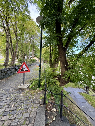 Trær ved Lendelunden