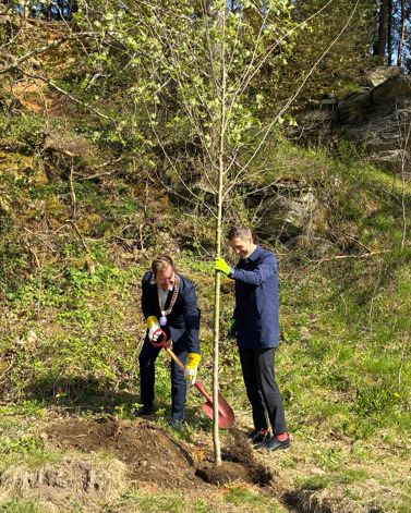 ordfører graver og planter et tre. Klima- og miljøminister holder treet loddrett.