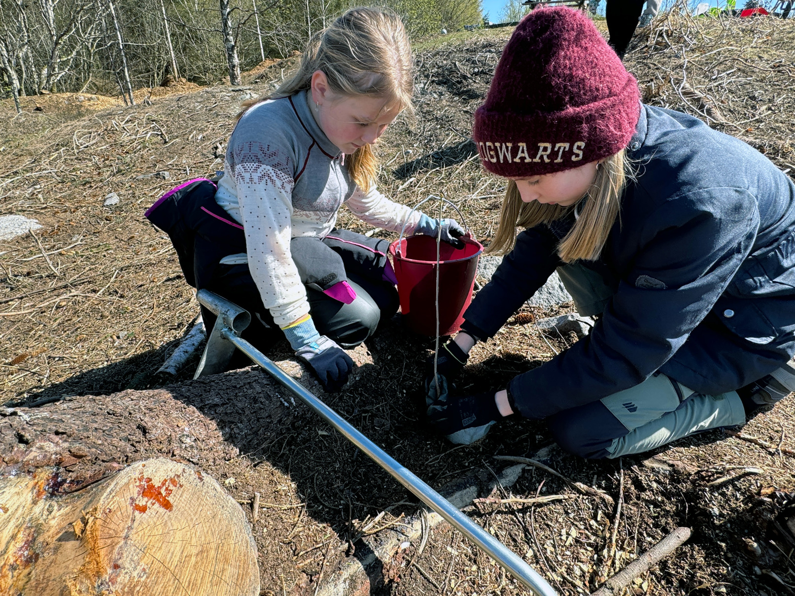 Hedda og Emma på Skeie skole planter nye trær i Trollskogen. To jenter planter trær