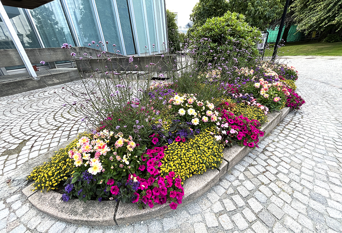 Blomsterbed ved Norges Bank-bygget (Nokas)