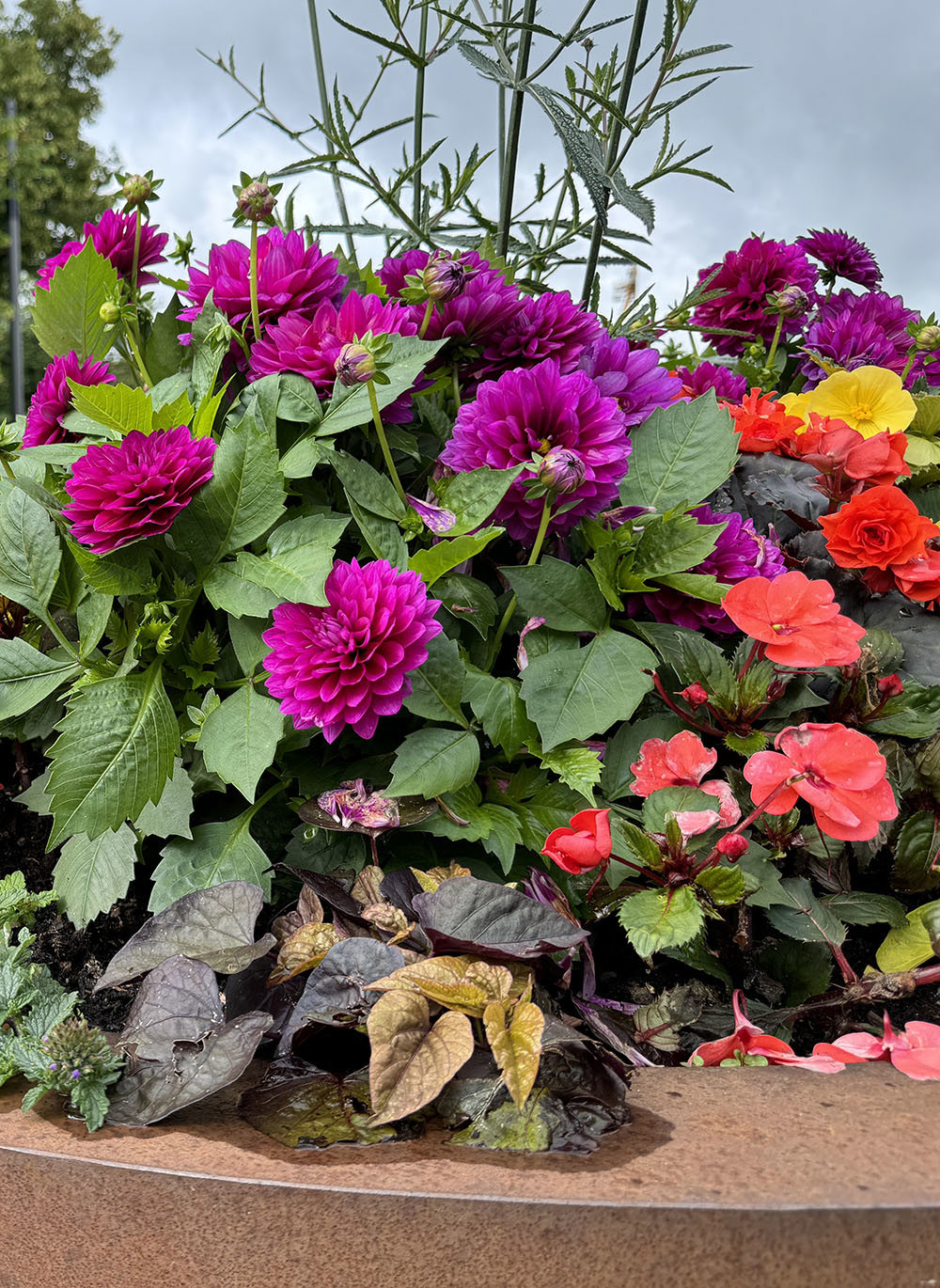 Kommunen setter ut blomster i sentrum