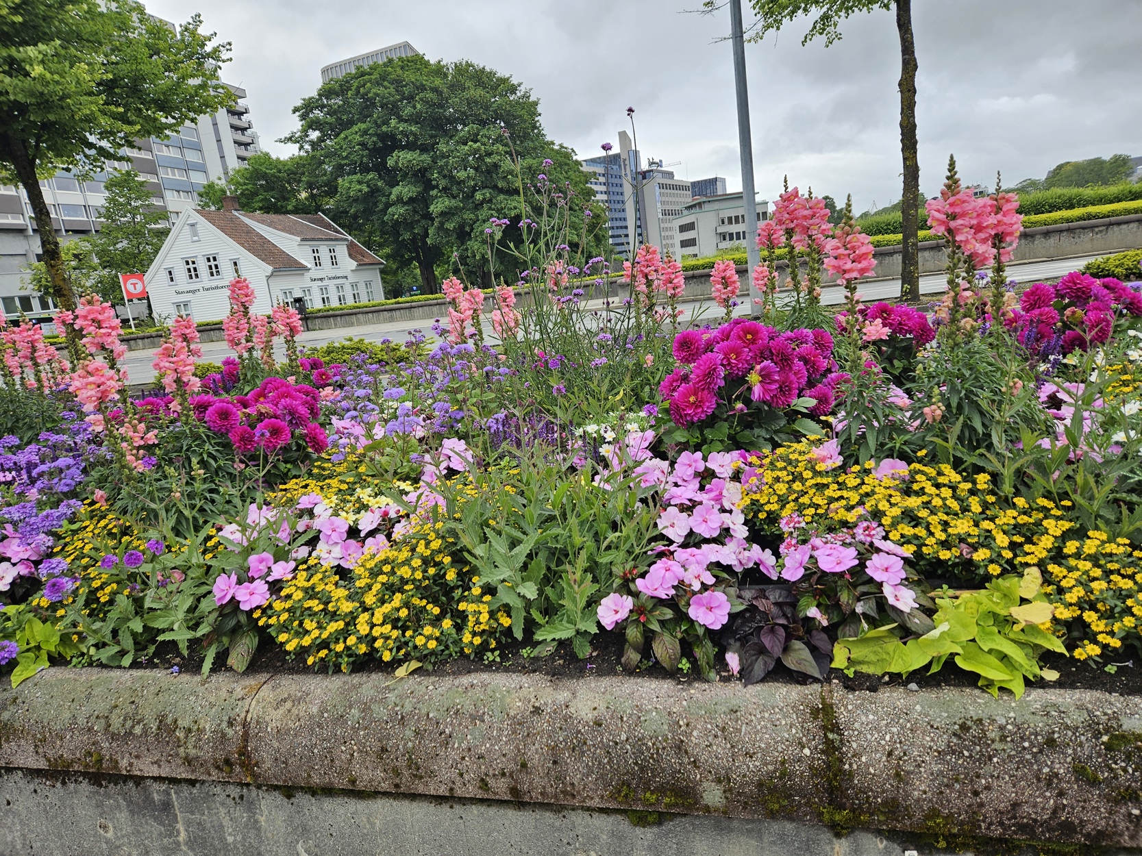 Kommunens blomsterbed i 2024