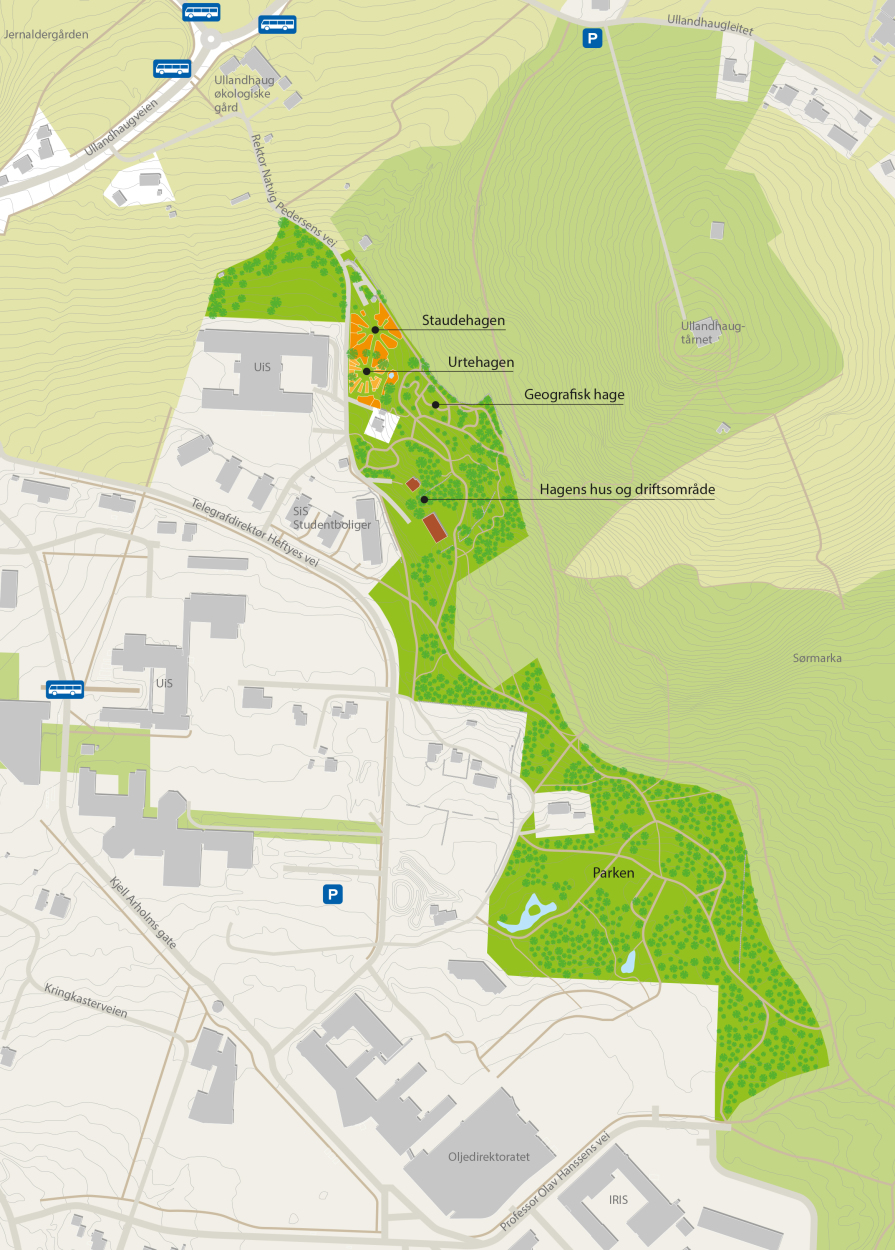 Kart over Stavanger botaniske hage.