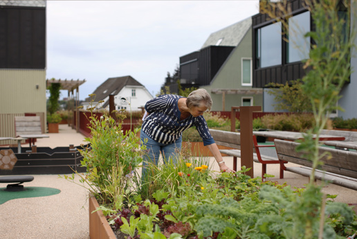 Bente Hopland ser på urtehagen som ligger ved drivhuset mellom byggene