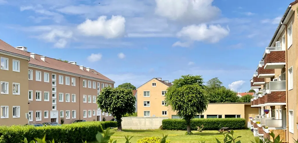 Bildet viser en frodig hage med hekker og trær. Vi ser lavblokker på begge sider og et murhus i enden. Vi er på Stokkaveien og ser på blokkene på Minsjonsmarken,